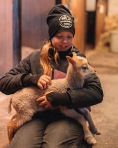 Suojakarin Farmilla pääsee silittämään lampaita